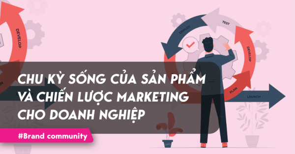 Chu kỳ sống của sản phẩm và chiến lược marketing cho doanh nghiệp